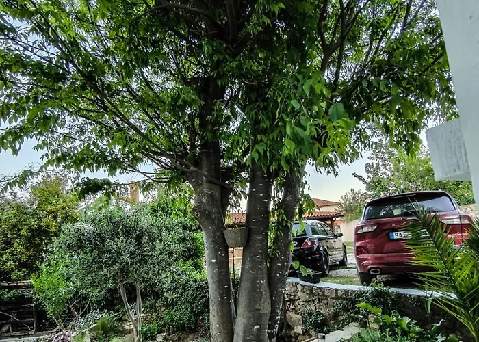 Centrum _ Pro 2 Osoby Lägenhet Nerezine